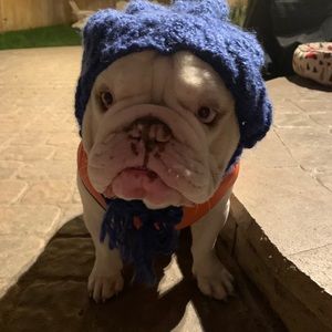 Meet your Posher, Chris